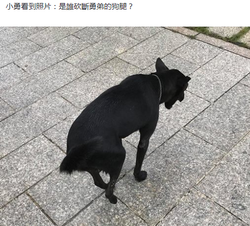 ⭐买海地苹果海外号去哪找包赔的渠道